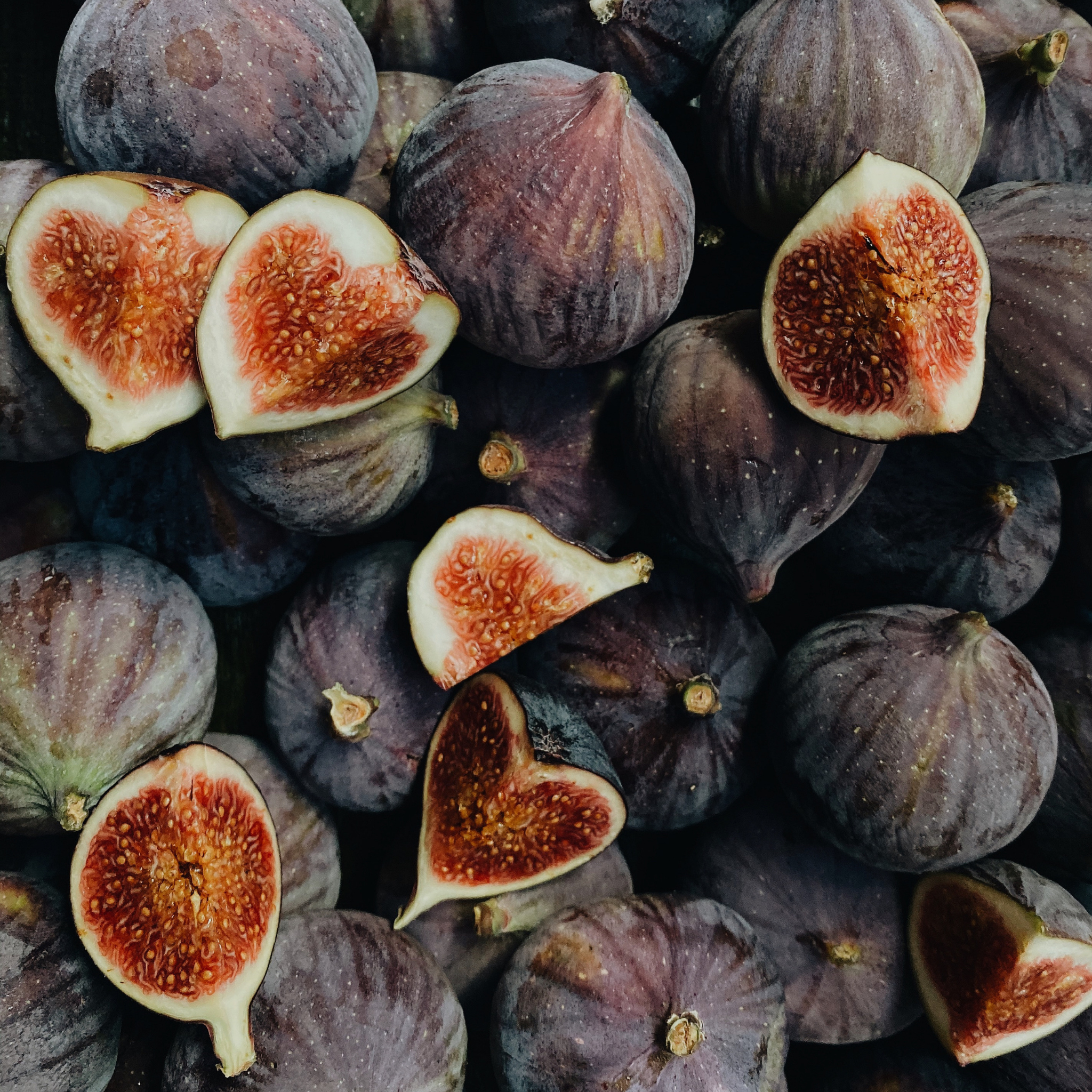 Fig