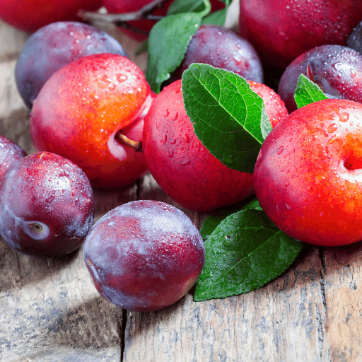 Plum, Plumcot, & Apricot